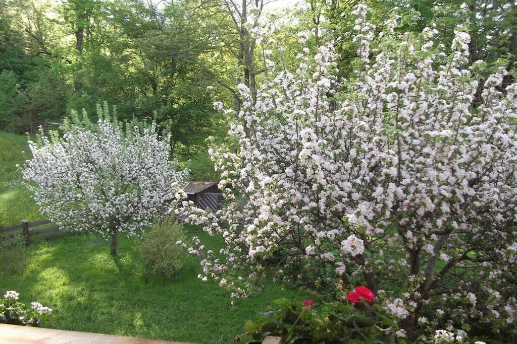 Photo of Outdoor in Schliersee