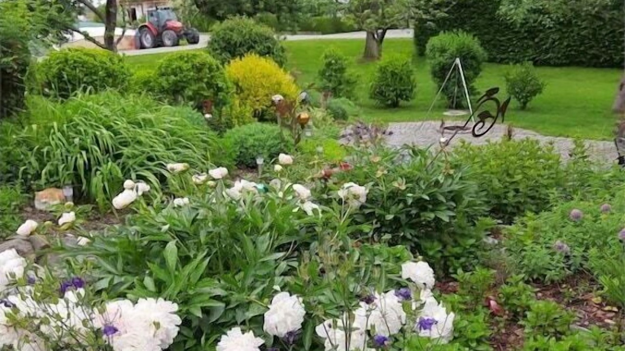 Photo of Outdoor in Bad Fuessing
