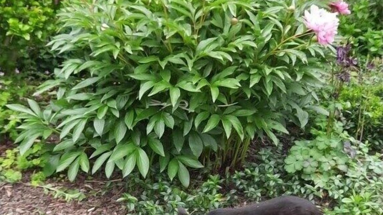 Photo of Outdoor in Bad Fuessing