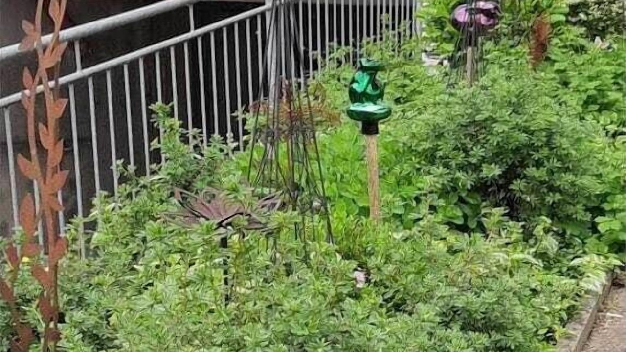 Photo of Outdoor in Bad Fuessing
