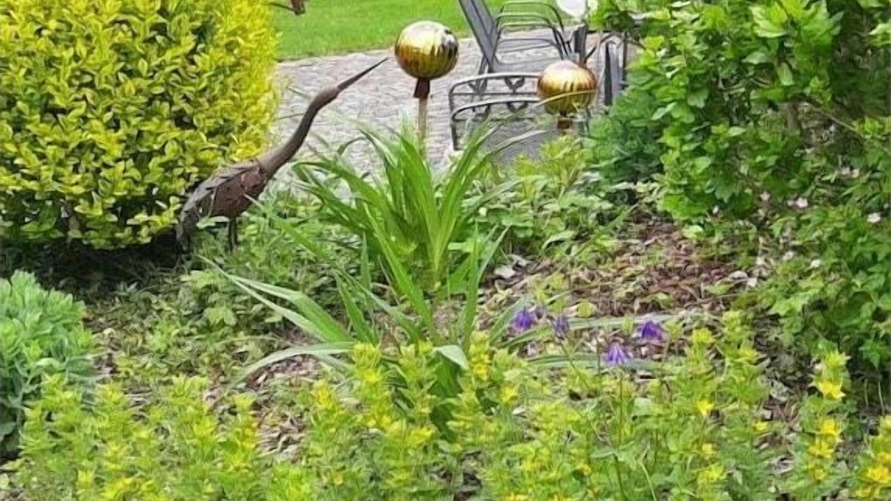 Photo of Outdoor in Bad Fuessing