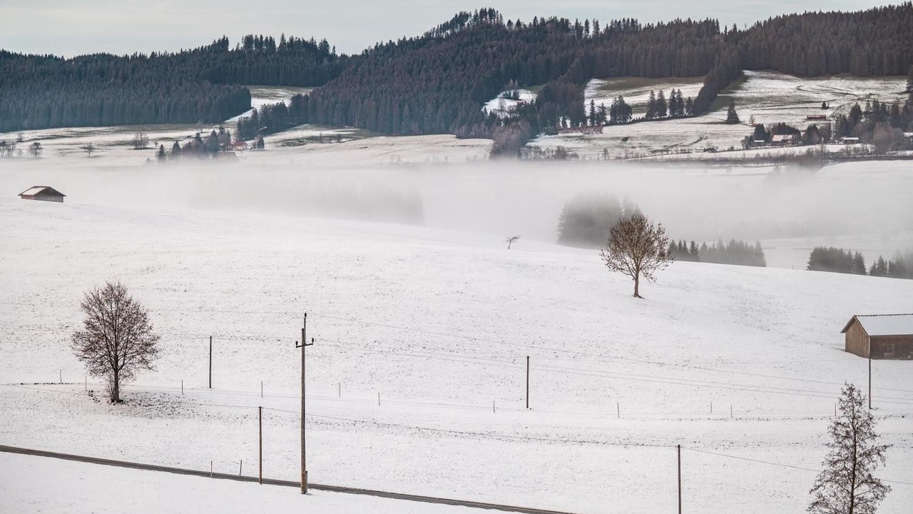 Photo of Others in Weitnau