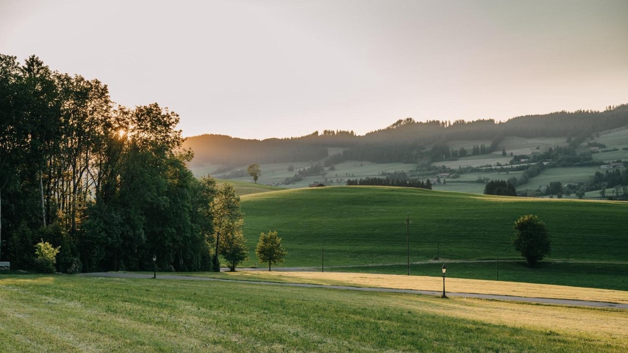 Photo of Others in Weitnau