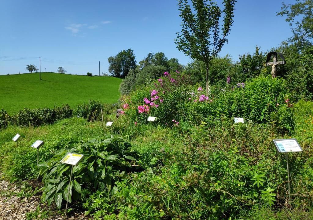 Photo of Outdoor in Missen-Wilhams