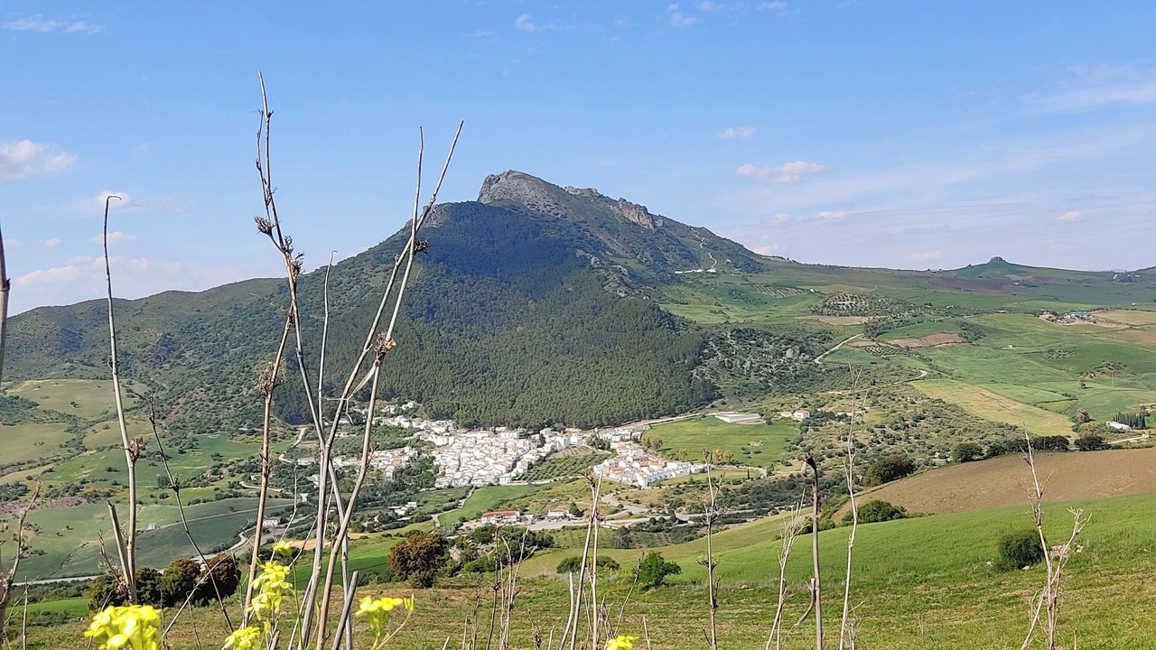 Photo of Others in Montecorto