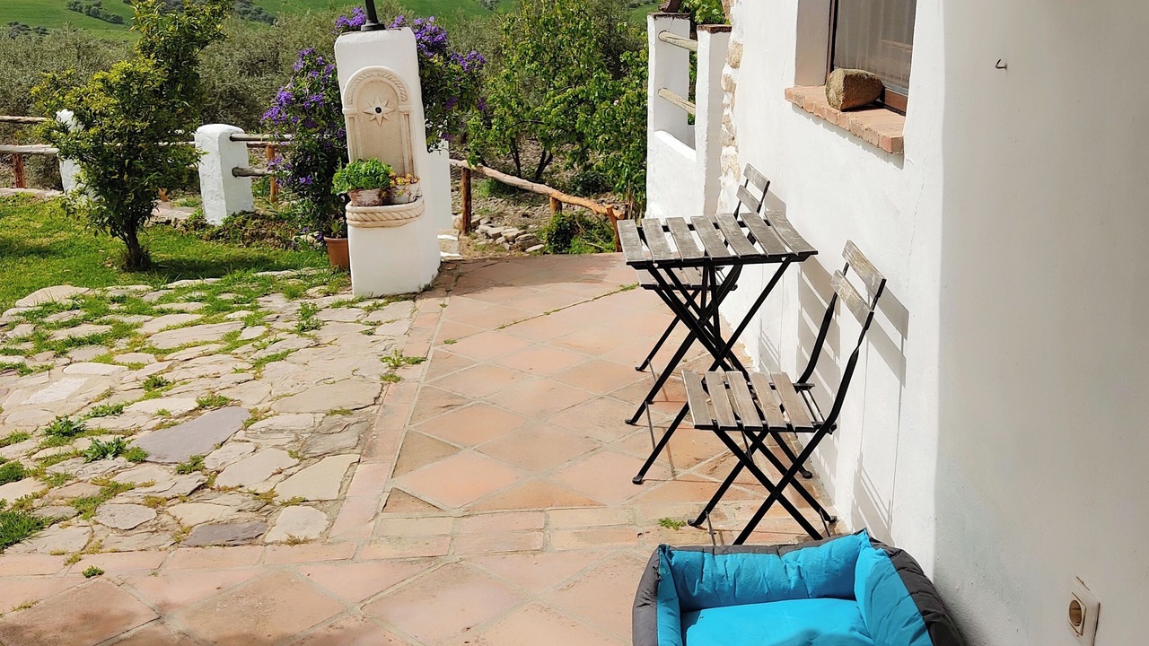 Photo of Patio Balcony in Montecorto
