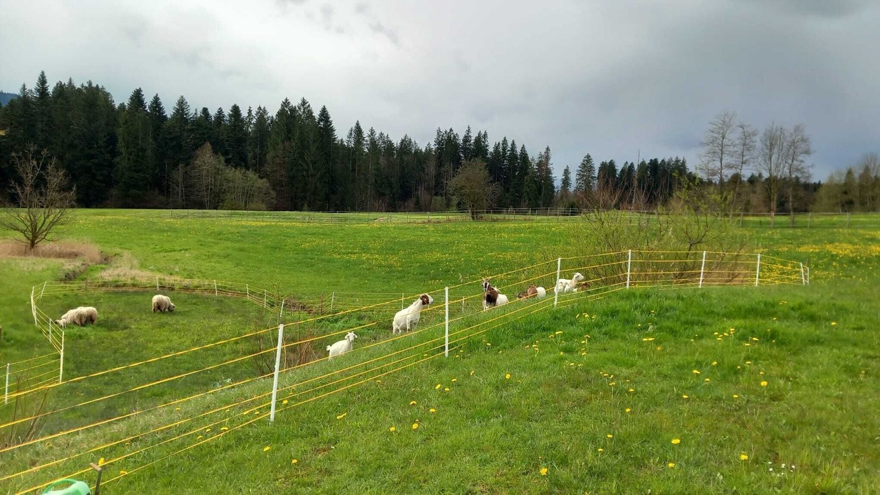 Photo of Others in Weiler-Simmerberg