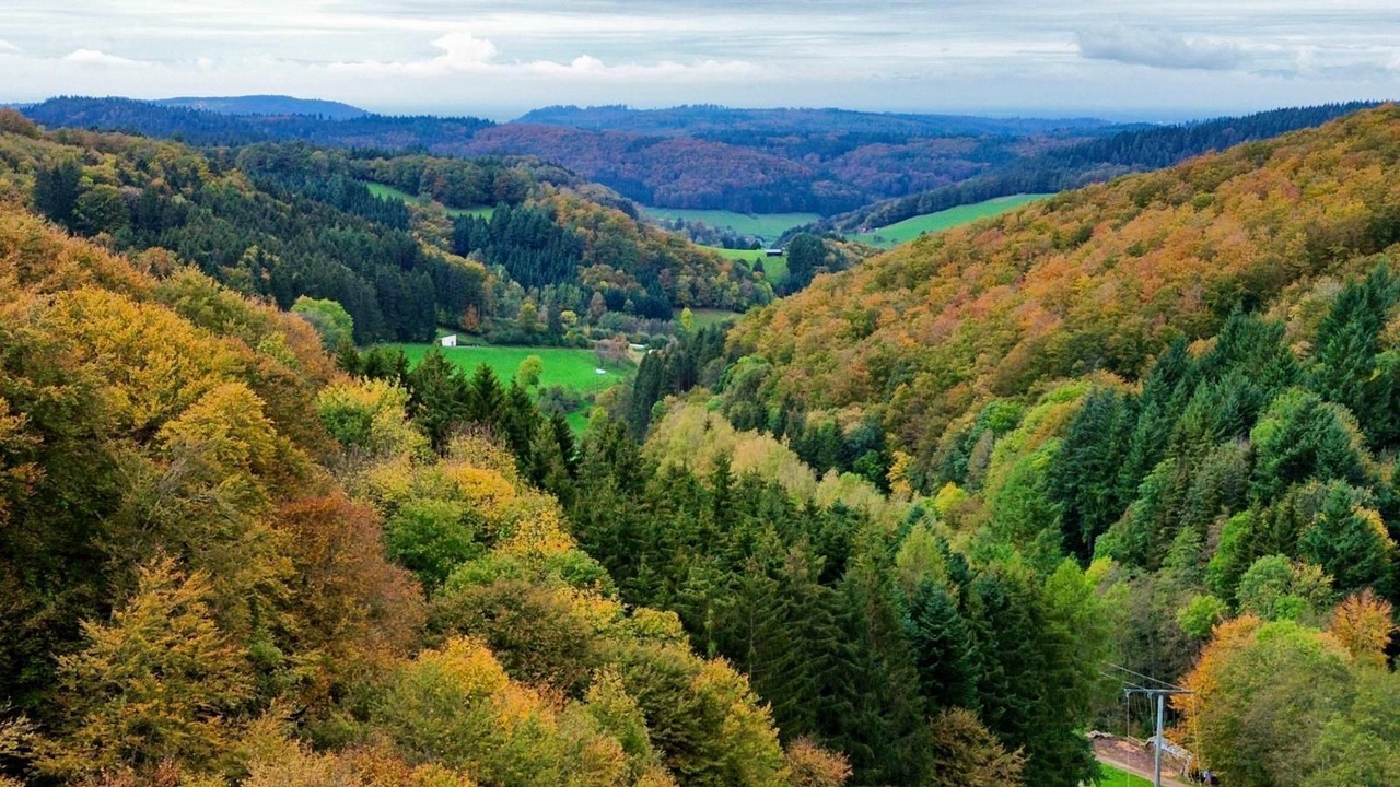 Photo of Others in Schuttertal