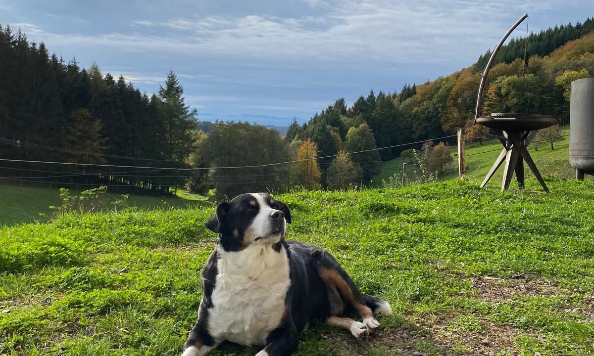Photo of Outdoor in Schuttertal