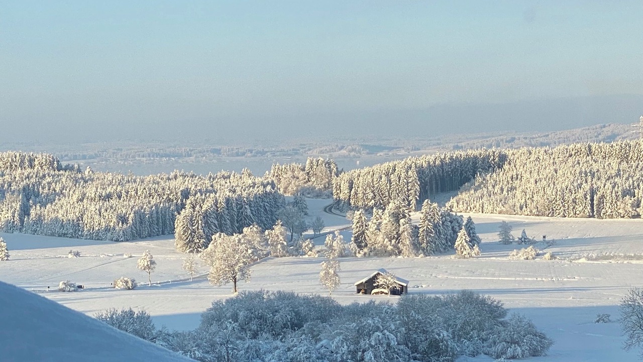 Photo of Others in Bidingen