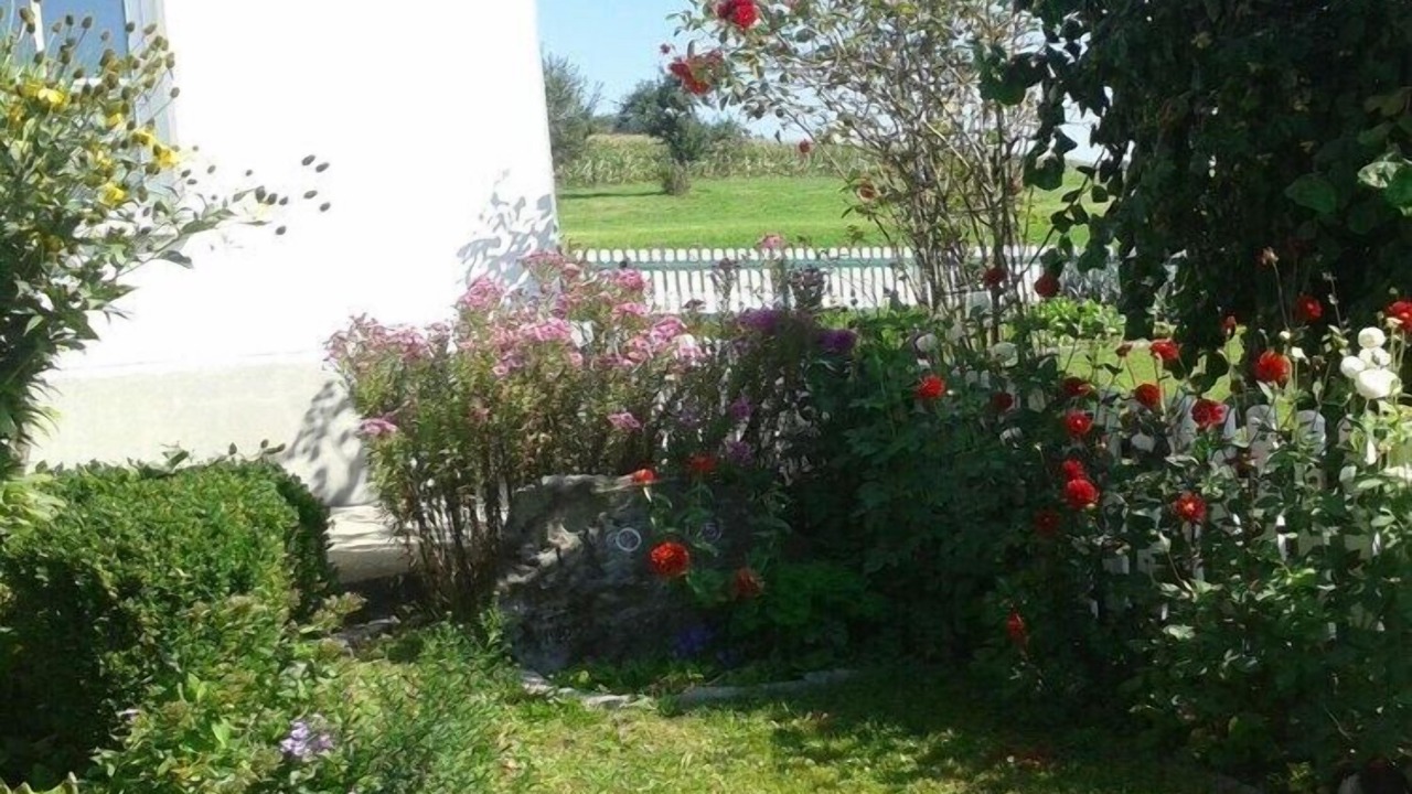 Photo of Outdoor in Hergensweiler