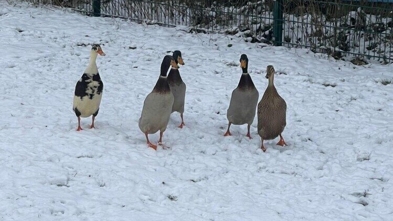 Photo of Others in Himmelkron