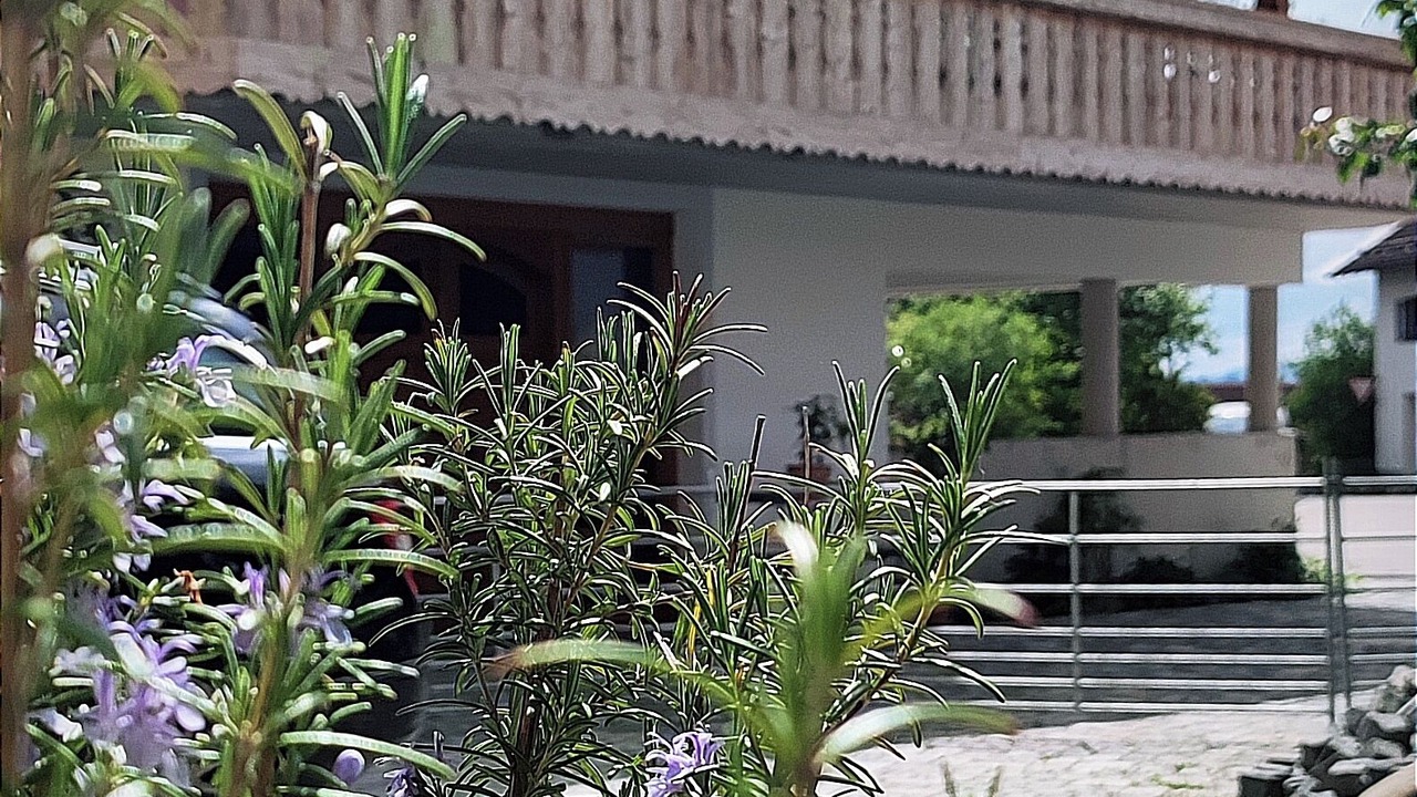 Photo of Outdoor in Epfach