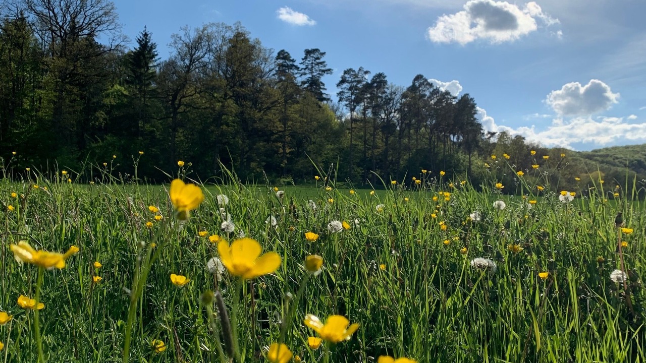 Photo of Others in Stetten