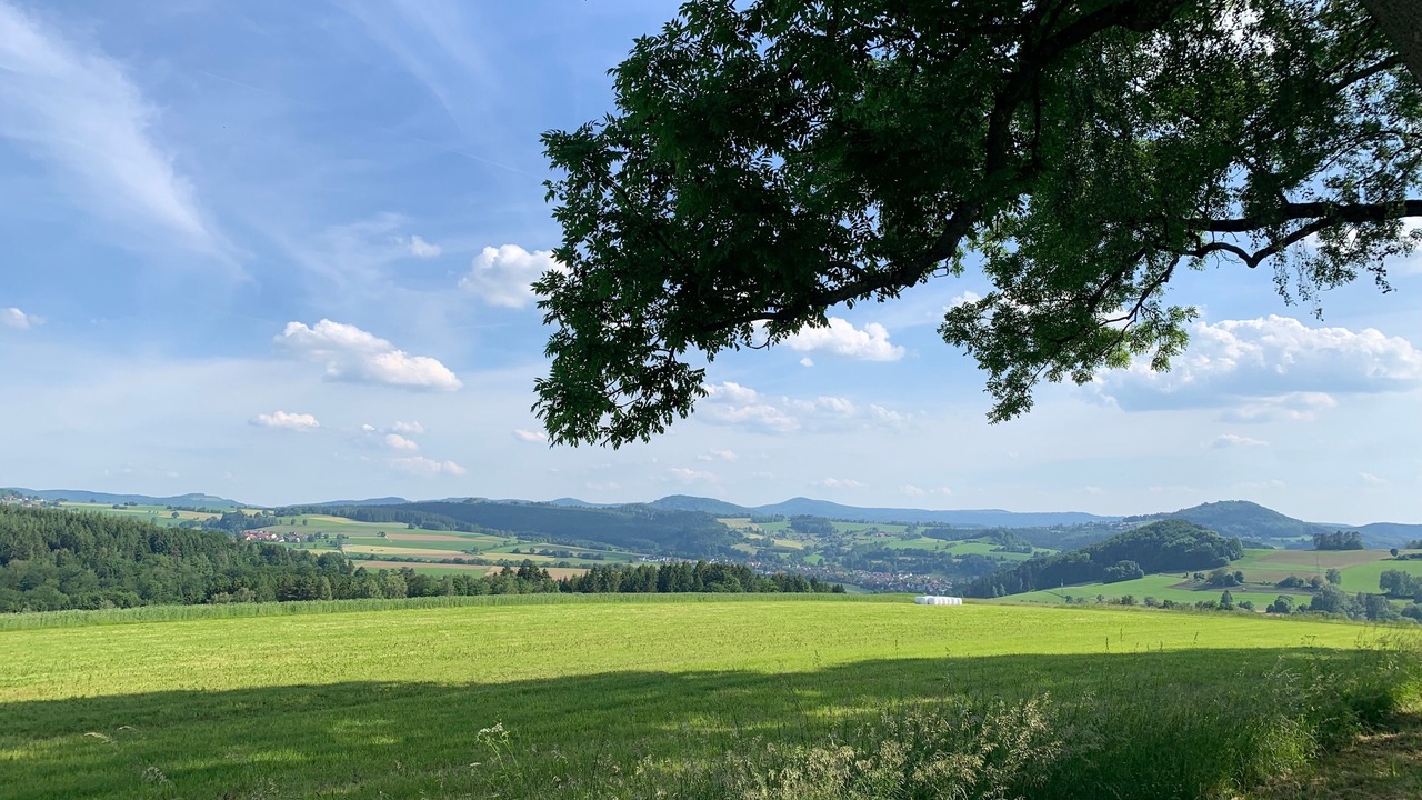 Photo of Others in Stetten