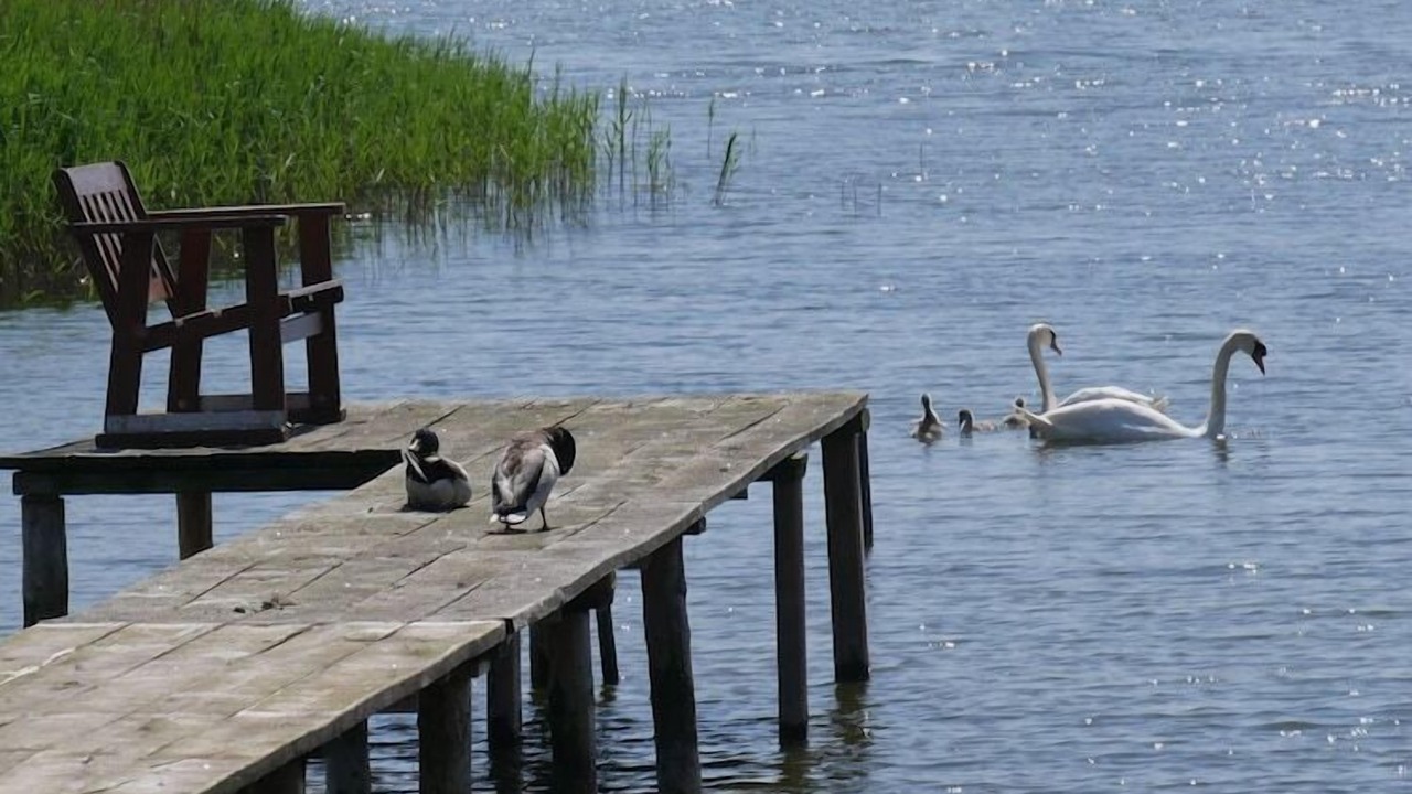 Photo of Others in Ostvorpommern