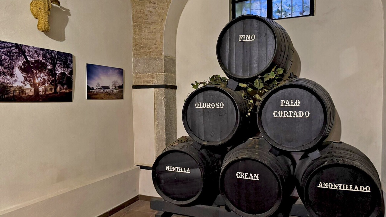 Photo of Others in Jerez de la Frontera Old Town