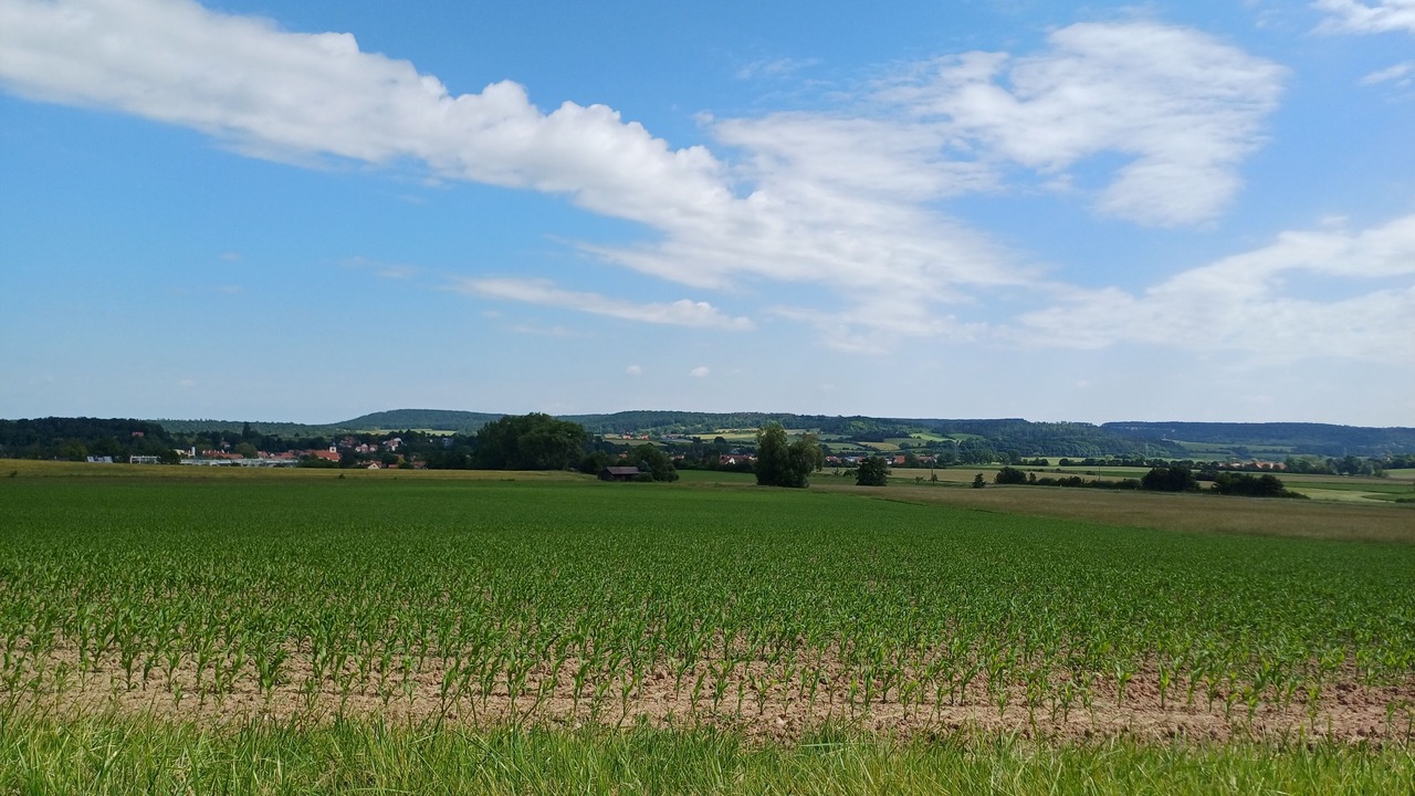 Photo of Others in Obernzenn