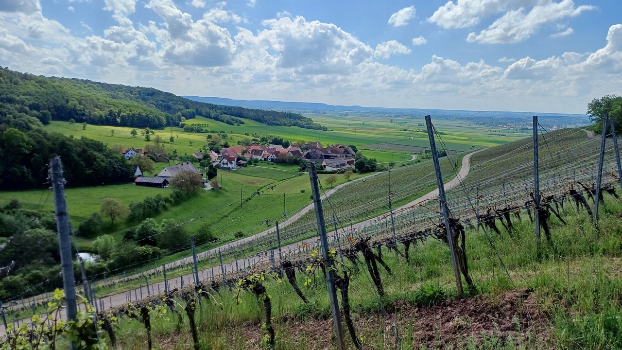 Photo of Others in Obernzenn