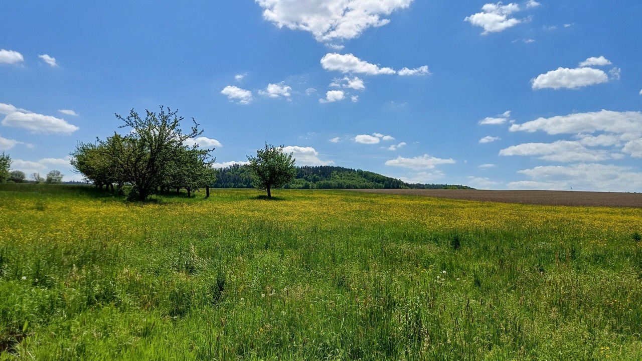 Photo of Others in Obernzenn