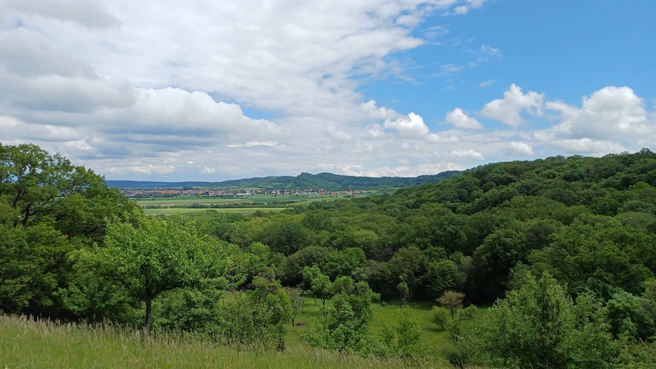Photo of Others in Obernzenn