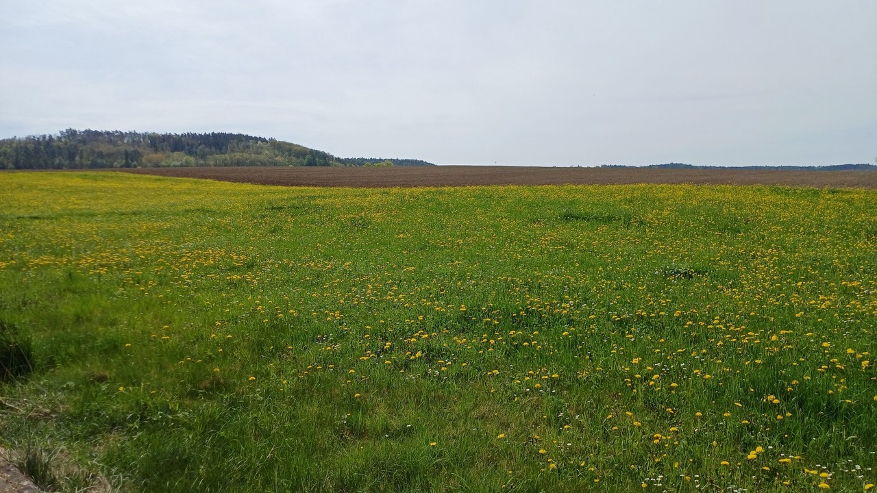 Photo of Others in Obernzenn