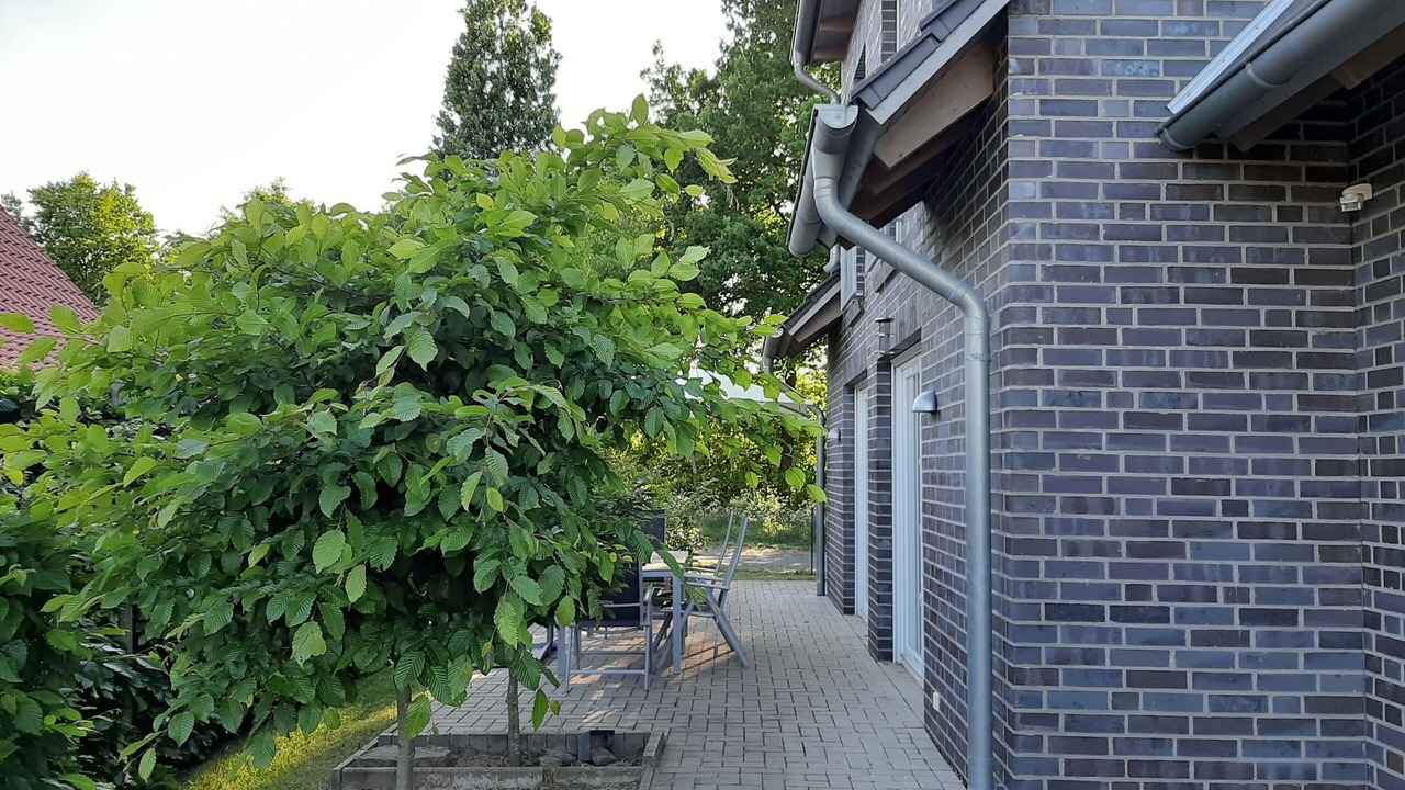 Photo of Outdoor in Rieste