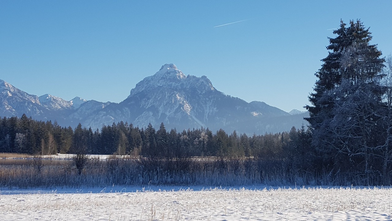 Photo of Others in Steinach