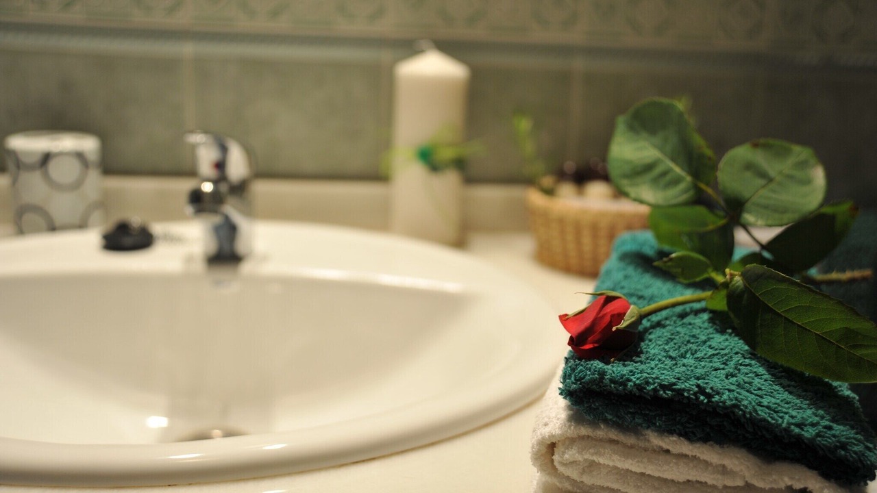 Photo of Bathroom in La Joya