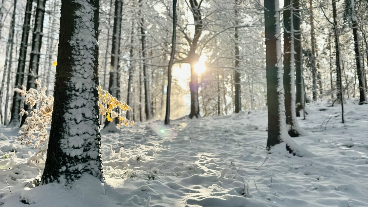Photo of Others in Berggieshubel