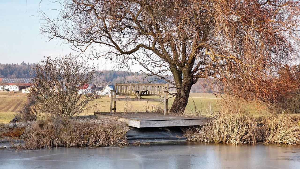 Photo of Others in Mickhausen