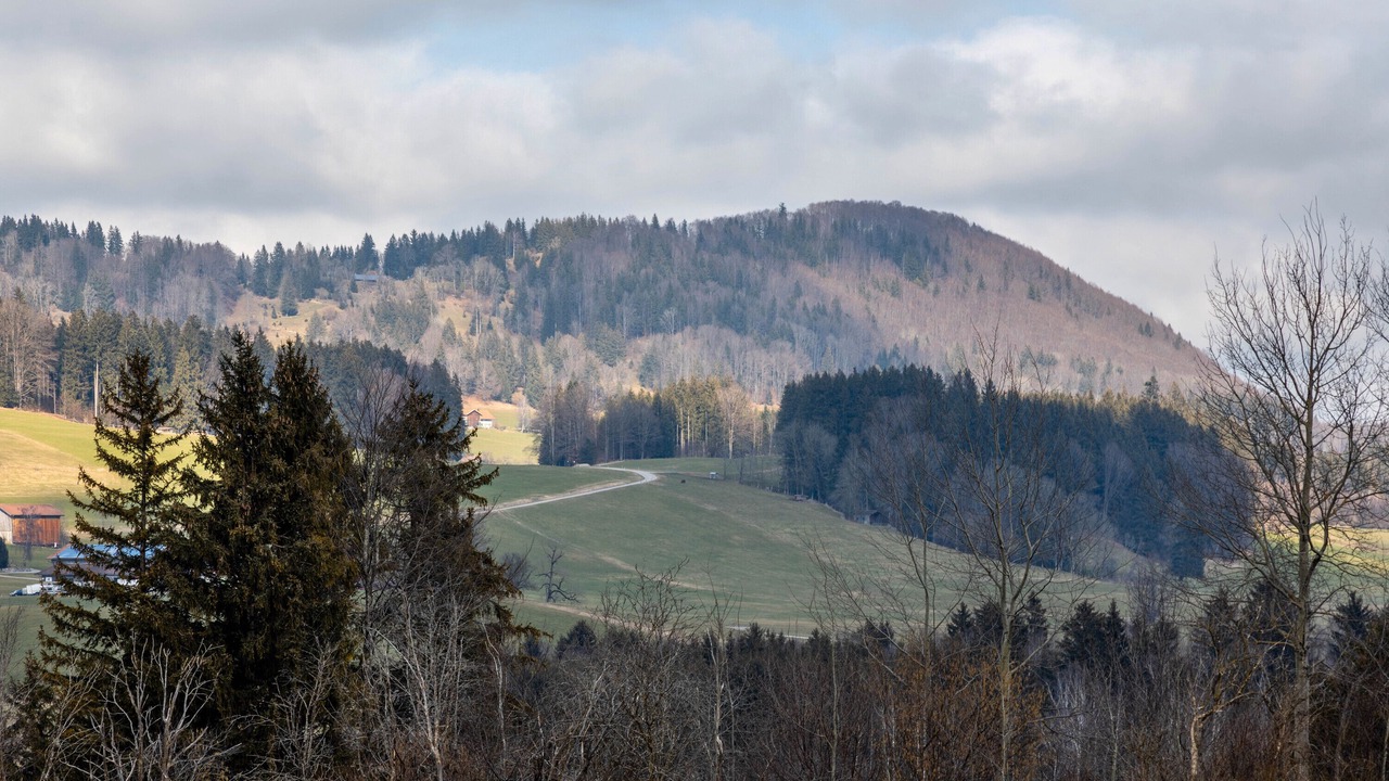 Photo of Others in Schraden