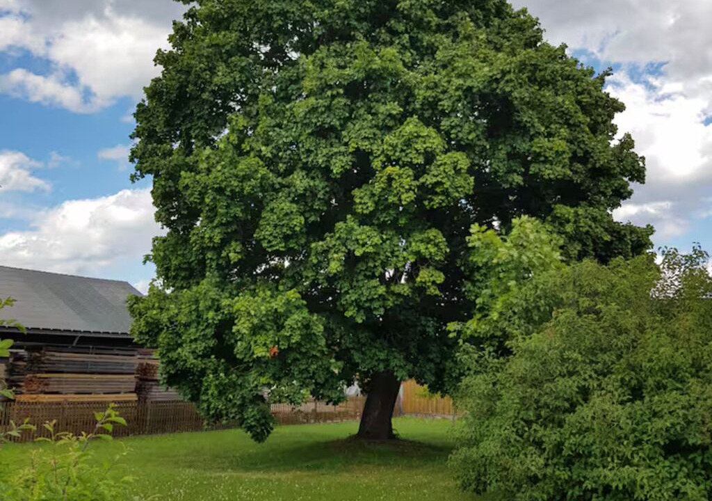 Photo of Others in Ostheim
