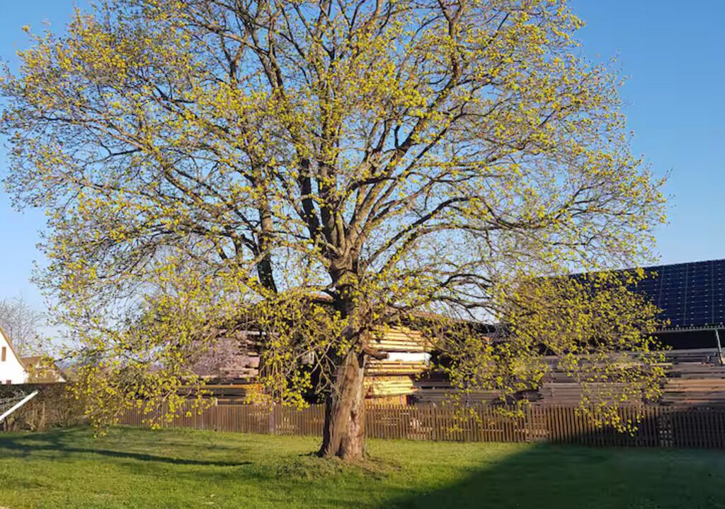 Photo of Outdoor in Ostheim
