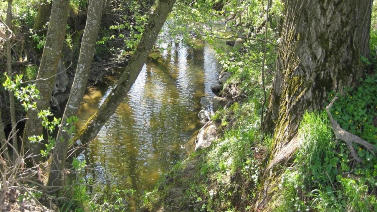Photo of Others in Rotthalmuenster