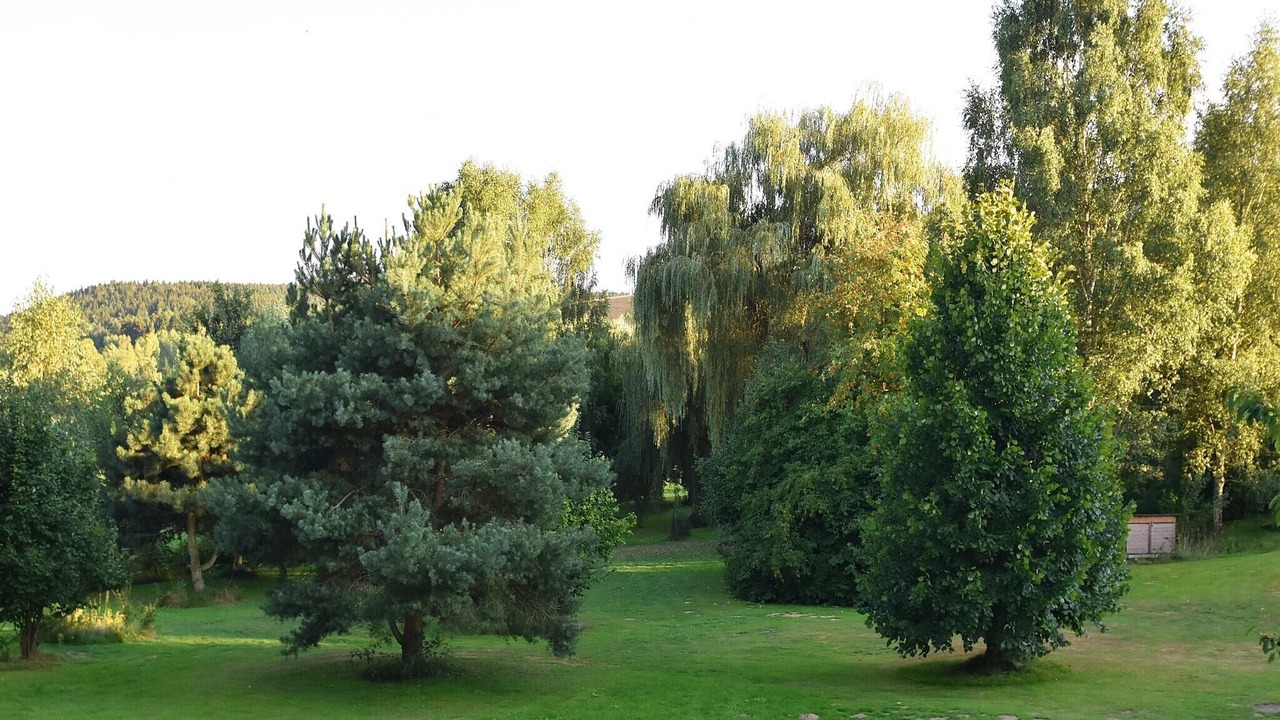 Photo of Outdoor in March