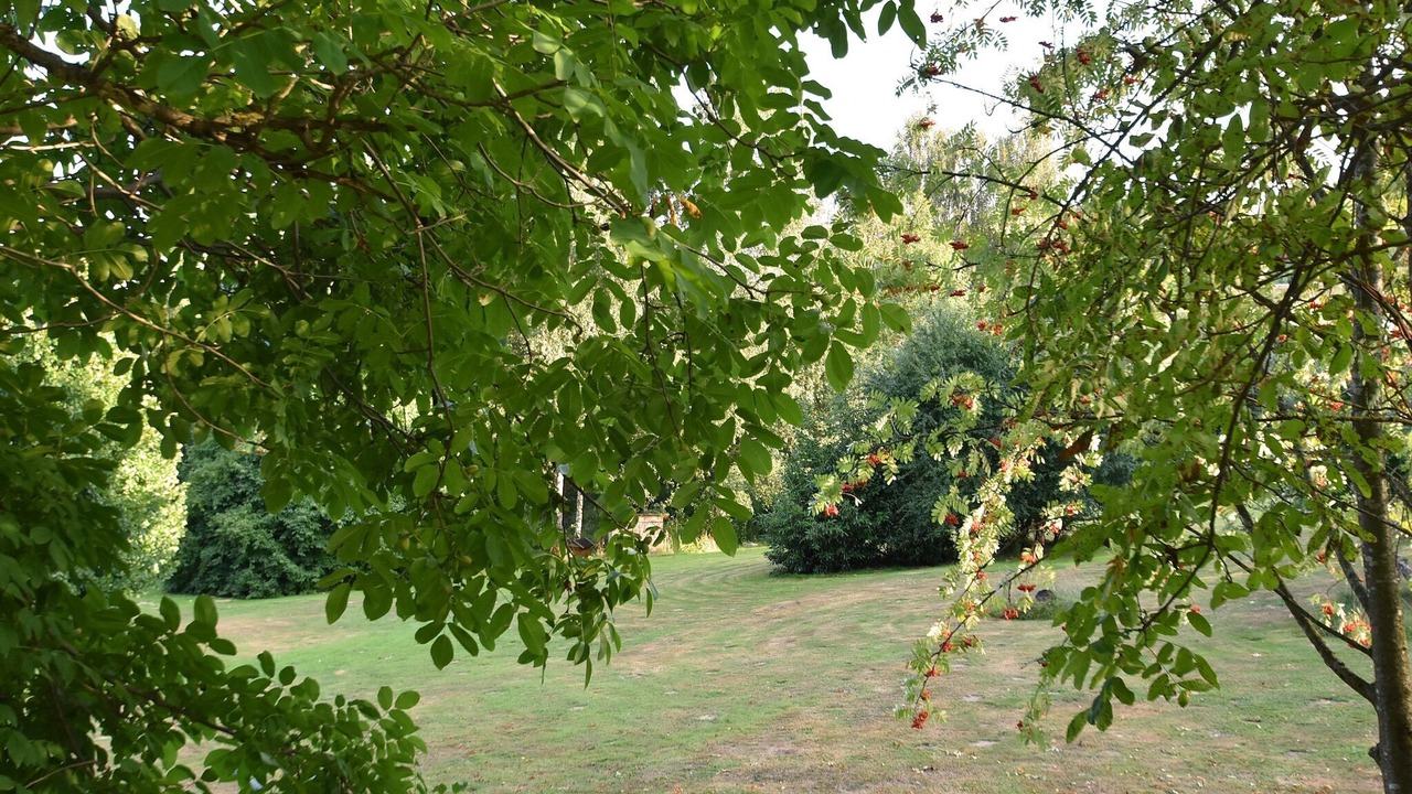Photo of Others in March