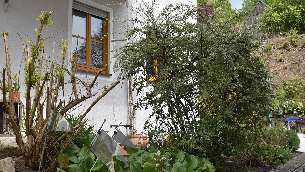 Photo of Outdoor in Tannesberg