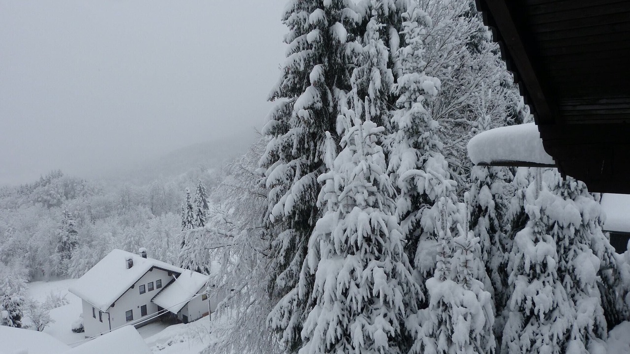 Photo of Outdoor in Zenting