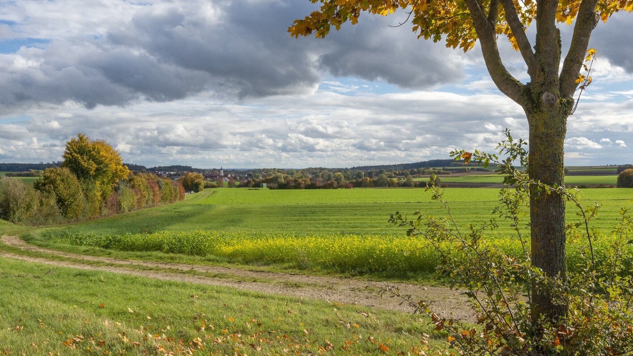 Photo of Others in Haunsheim