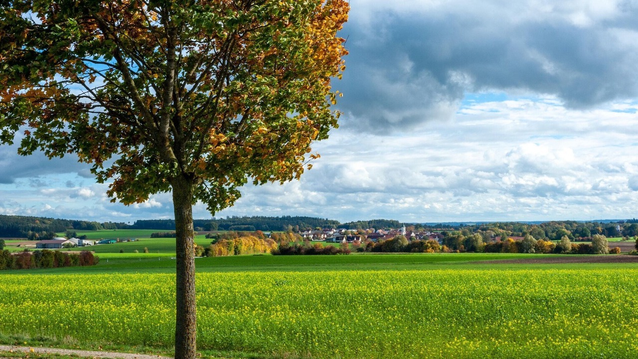 Photo of Others in Haunsheim
