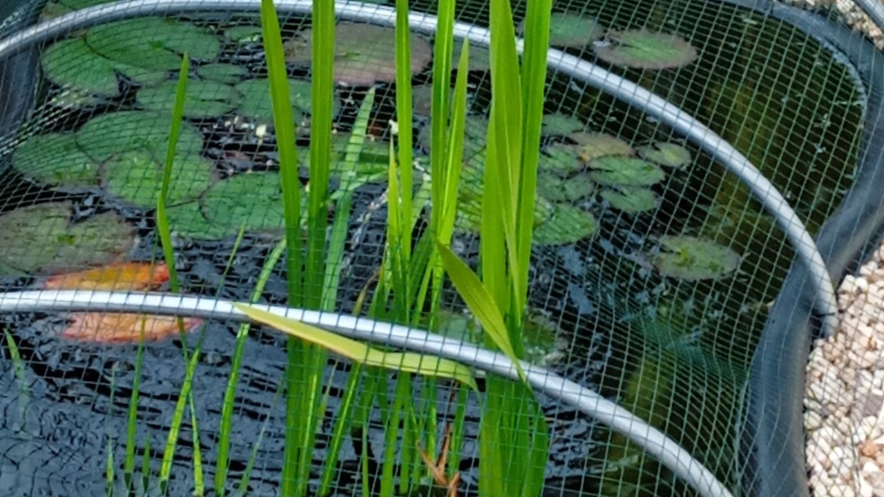 Photo of Outdoor in Kleinostheim