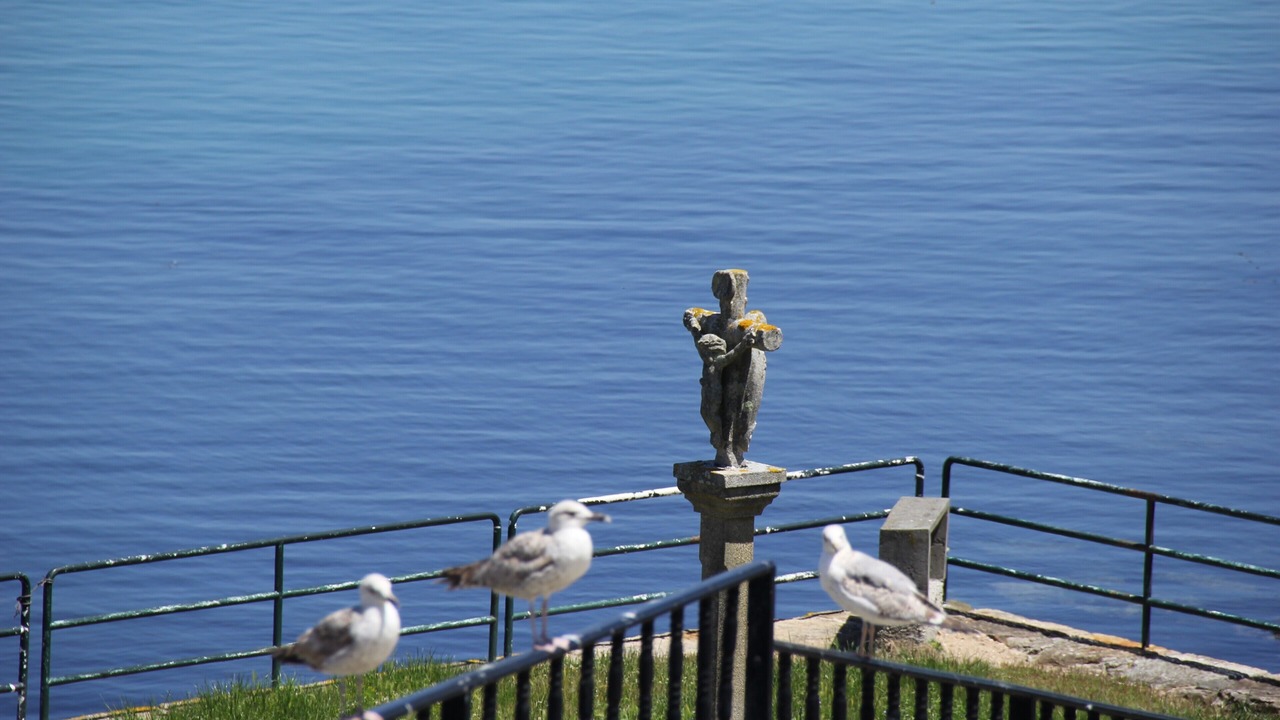 Photo of Others in Fisterra