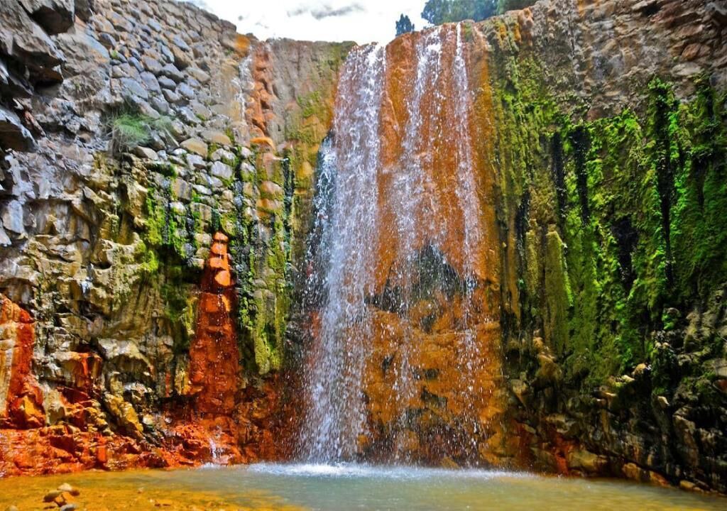 Photo of Others in Santa Cruz de la Palma