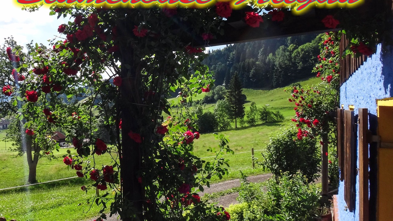 Photo of Outdoor in Schwanden