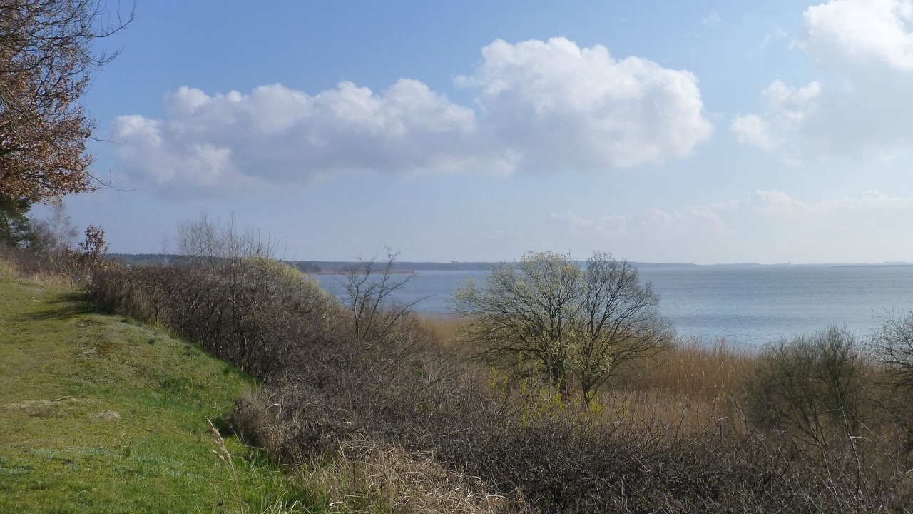 Photo of Others in Quilitz