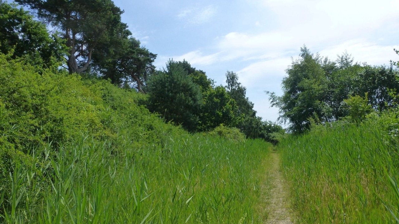 Photo of Outdoor in Quilitz