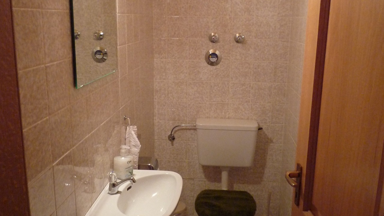 Photo of Bathroom in Schwarzenbach