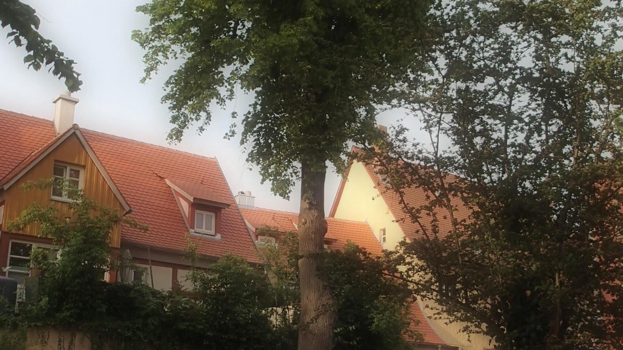 Photo of Outdoor in Altstadt