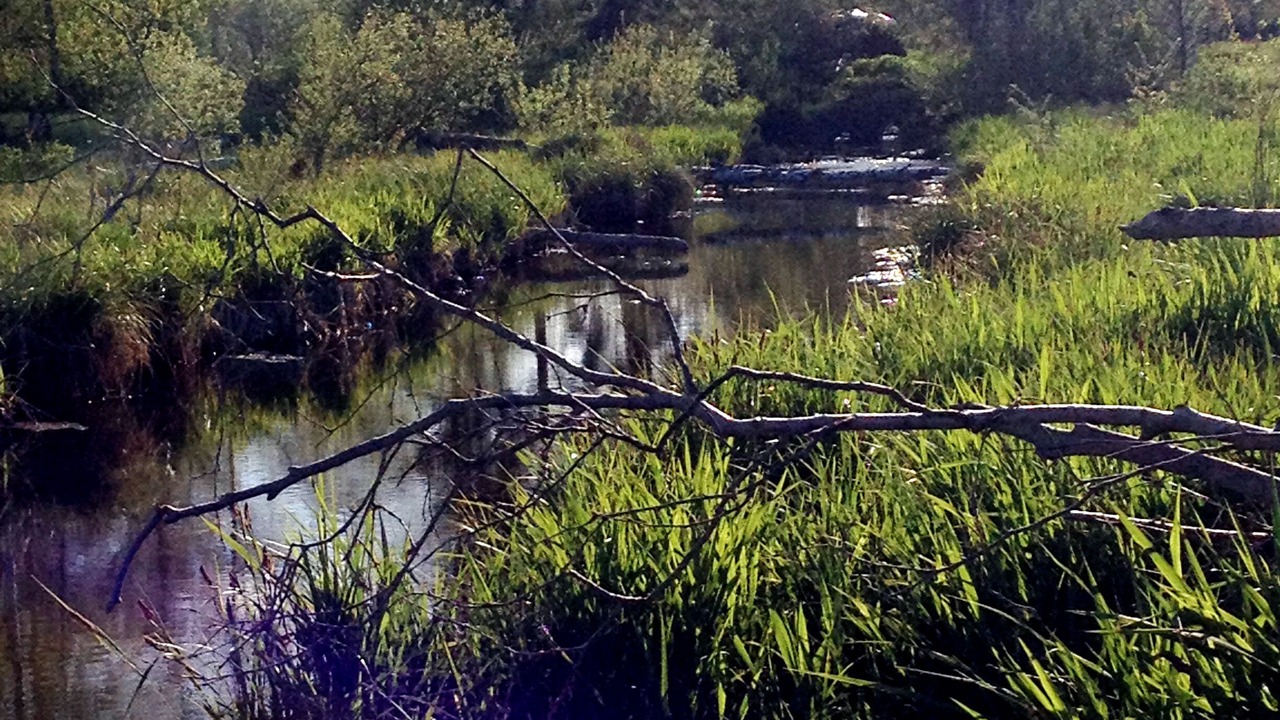 Photo of Outdoor in Aitrang